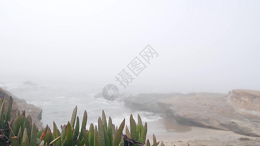 海洋风景 海浪在大雾中冲到海边 平静的迷雾天气戏剧性植物悬崖阴霾支撑电影海景波浪壁纸空气图片