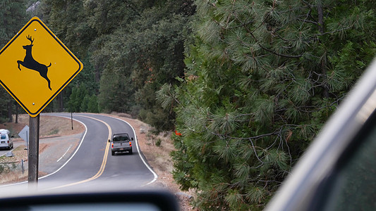 穿越美国加利福尼亚州黄色路标的鹿 野生动物Xx 交通安全受保护警告森林曲线注意力沥青便车荒野生态旅游指示牌图片