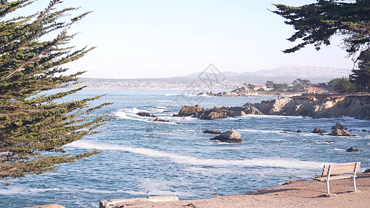 在蒙特里加利福尼亚州海岸的岸上 坠落着海浪 海浪海岸线力量车程飞溅长椅丛林松树岩石海洋波浪图片