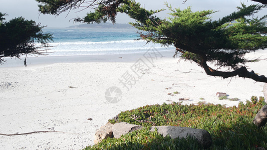 海洋沙滩 加州海岸 海水波崩塌 阳光灿烂的天气图片