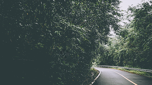 清晨在乡间充满雾雾的清空农村道路 在靠近缅甸的泰国 通往山上的公路景象场景曲线太阳国家岩石冒险顶峰运输自由旅游图片