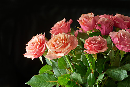 生长反对与copyspace 的黑背景的桃红色玫瑰 一束美丽的鲜花与盛开的花蕾的特写镜头 一束可爱的花束 作为母亲节或情人节礼物图片