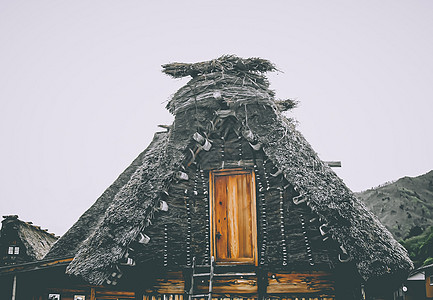 Shirakawako传统房屋 unesco遗产村 旅游点 日本民俗建筑 屋顶特质设计季节地标建筑学历史森林旅行木头遗产合掌游客图片