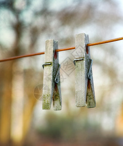 两个木制洗衣钉挂在一条线上 在阳光明媚的花园里 两个旧木衣夹挂在晾衣绳上 用于悬挂刚清洗过的衣物的老式工具图片