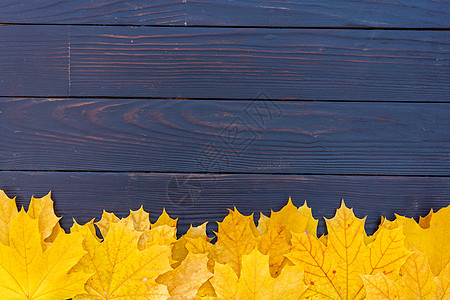 秋叶框 木制背景最深的视野黄色和橙色叶树老牌木材桌嘲笑小样乡村边界框架木板木头叶子树叶作品图片