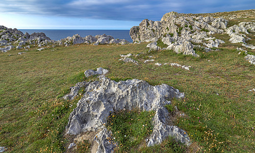 a 西班牙观察环境石头场景海浪保护风景野生动物海岸气孔图片