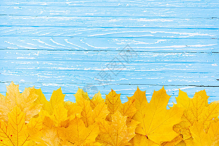 秋叶框 木制背景最深的视野黄色和橙色叶树老牌木材桌树叶作品框架木头桌子边界木板季节乡村叶子图片