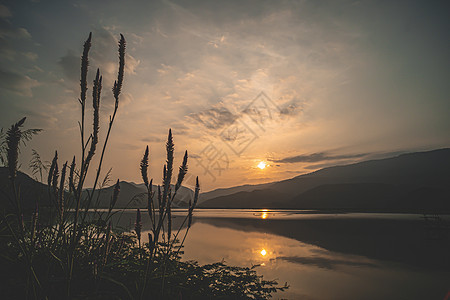 与湖山日落场面的野草花 在黄昏的风景 在秋天日落的美丽的天空 日出和日落时的完美山脉 美丽的风景图片