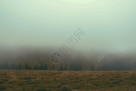 雾蒙蒙的喀尔巴阡山脉雨后全景路在一个雾蒙蒙的秋日早晨达到顶峰 农田里有奶牛 Bucegi 山脉 罗马尼亚欧洲图片