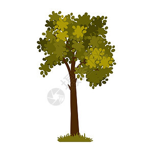 卡通绿树图标叶子地球插图收藏衬套漫画树干花园魔法树枝背景图片