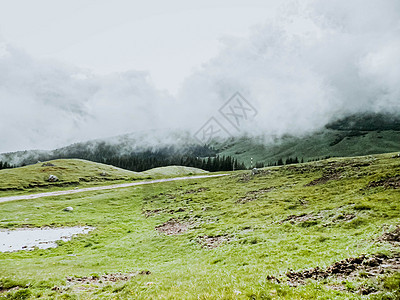 神秘的绿雾松树林和山峰 布塞吉山脉罗马尼亚春日  Bucegi山场景岩石风景天空薄雾公园山脉旅行顶峰天气图片