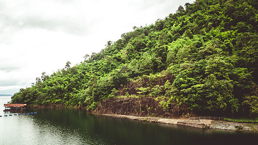 树 岛上的山和岩石 丛林 树木 河流 红树林景观 泰国图片