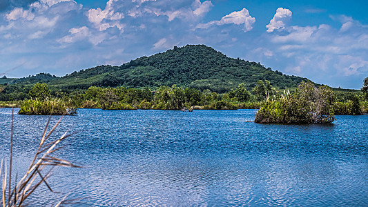 泰国Rayong省东植物中心 清山湖和森林地貌的夏日风景全景(泰国)图片