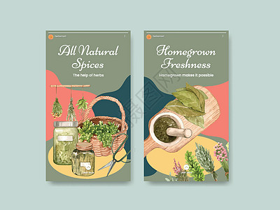 带有草药本土概念 水彩色风格的Instagram模板装饰媒体生长海芋绿色园艺营销植物树叶水彩图片