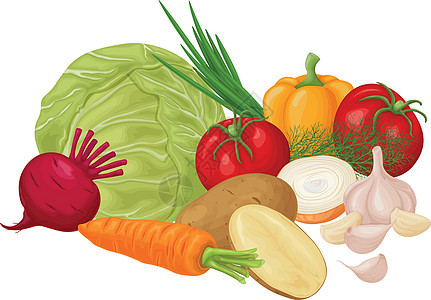 蔬菜 蔬菜的图像 例如卷心菜西红柿 洋葱 大蒜和土豆 还有胡萝卜和甜菜 花园里成熟的蔬菜 素食维生素产品 向量图片