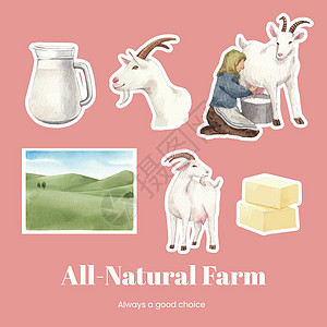 贴上山羊奶和奶酪农场概念的粘贴板模板 水色风格村庄绘画乳房小山羊玩具宠物家畜孩子喇叭食物图片