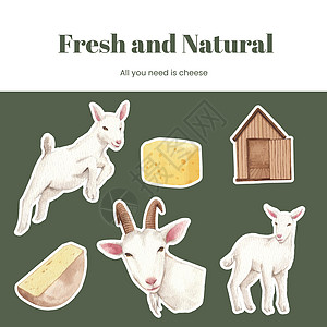 贴上山羊奶和奶酪农场概念的粘贴板模板 水色风格奶制品动物园牛奶哺乳动物喇叭山羊宠物荒野牧场村庄图片