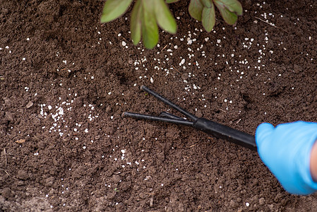 将土壤与有机花园的颗粒肥料混合在一起 以更好地种植植物图片