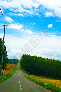 北海道长路和自然直路天空蓝天地球长路图片