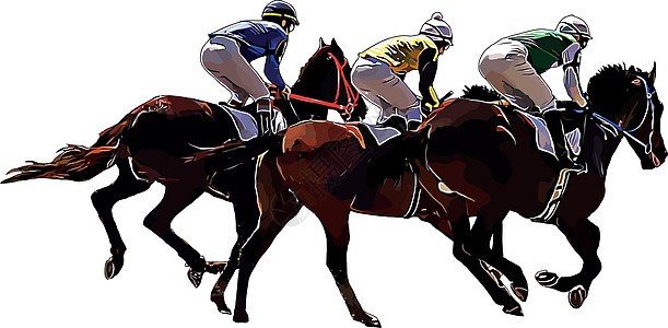 赛马和赛马骑手在赛马比赛中 孤立于白色背景派对杯子竞赛马术运动骑手跑马场展示骑士冠军图片