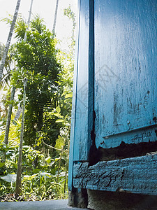 被雨水破坏的门的腐烂木头硬木乡村地面木材昆虫古董寄生虫木板房子材料图片