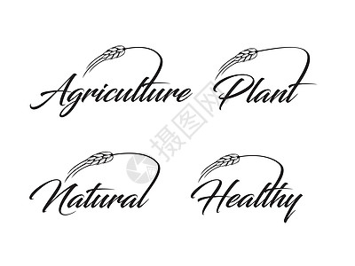 农业 植物 自然和健康信号图片