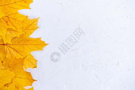 秋叶框 白色背景的顶端视图黄色和橙叶树老牌结构表复制文本空间桌子感恩季节边界作品叶子小样乡村树叶嘲笑图片
