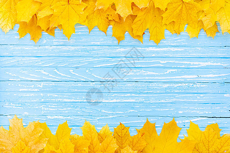 秋叶框 木制背景最深的视野黄色和橙色叶树老牌木材桌边界木板树叶木头季节桌子蓝色框架感恩叶子图片