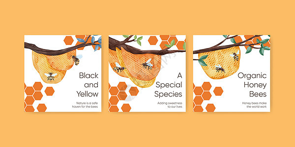 带有蜜蜂概念 水彩色风格的条形模板甜点洋甘菊食物蜂蜡糖浆养蜂业水彩细胞昆虫插图图片
