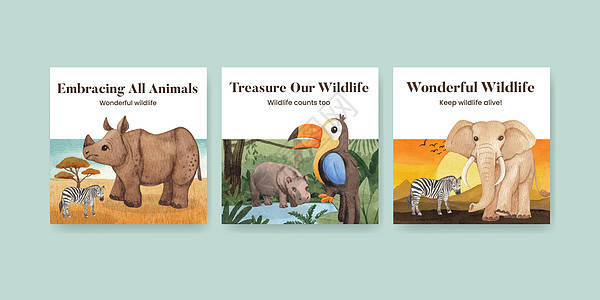 带有热带野生生物概念 水彩色风格的板条模板动物群狮子营销卡通片鸵鸟水彩雨林植物群斑马丛林图片
