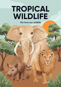 带有热带野生动物概念 水彩色风格的海报模板鸵鸟荒野野猫老虎树木动物园营销传单森林栖息地图片