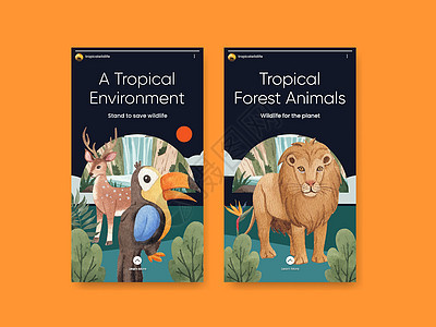 带有热带野生生物概念 水彩色风格的Instagram模板狮子社区动物群栖息地老虎营销动物雨林动物园鸵鸟图片