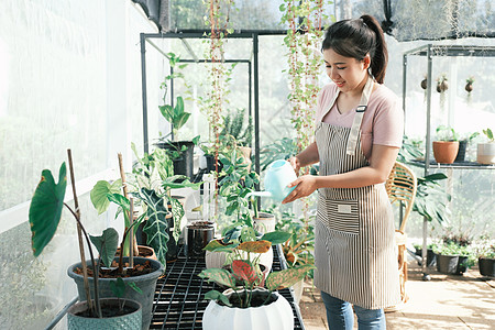 室内花店商界女性新鲜高清图片