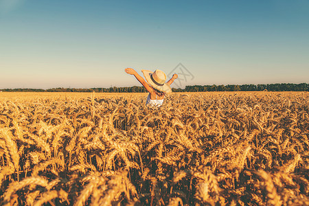 一个小麦田里的孩子 有选择的焦点童年晴天家庭粮食自由喜悦天空植物日落女孩图片
