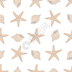 手绘矢量插图贝壳的无缝模式 海洋背景异国绘画文化海浪海星螺旋织物卡通片墙纸蓝色图片