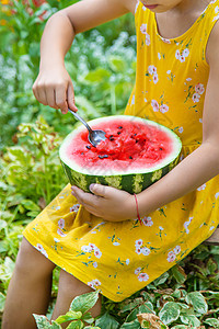 孩子用勺子吃西瓜 有选择的焦点快乐帽子甜点乐趣幸福桌子女性小吃童年微笑图片