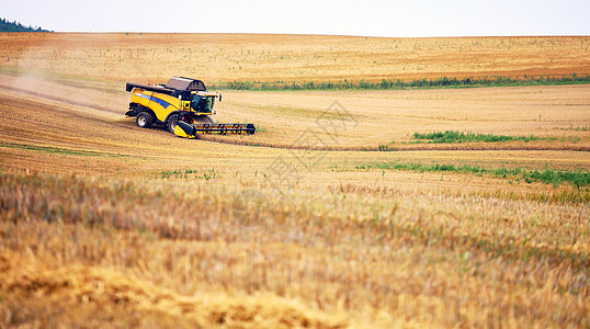 结合到割草机中除去田地上的小麦植物大麦粮食风景拖拉机生长金子机器收成天空图片