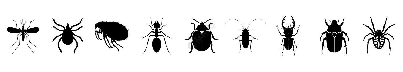 昆虫图标集 各种昆虫的轮廓 矢量图解图片