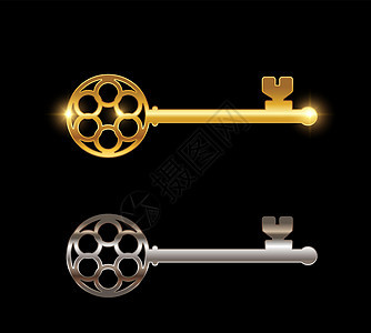金和铬键 矢量符号入口秘密按钮钥匙房子白色插图安全金子隐私图片
