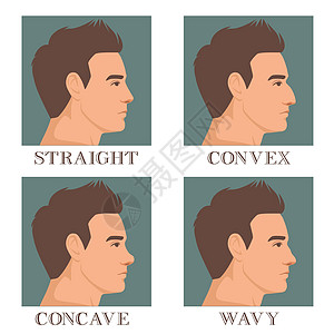 男性脸部的外形 有不同种类的鼻锥 直鼻 结骨和卷状 矢量插图图片