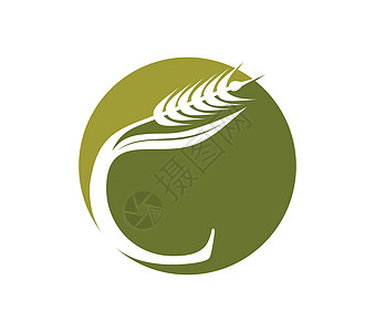 Wheat 谷物和单声像 初始 Logo 字母 C图片