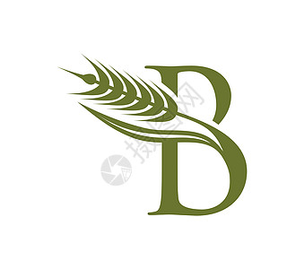 Wheat 谷物和单词 B 初始 Logo 字母 B农业叶子公司标识商业奢华农民品牌收成花园背景图片