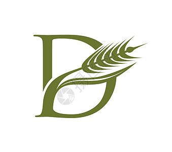 Wheat 谷物和初始 Logo 字母 D品牌标识小麦公司商业食物花园粮食植物叶子图片