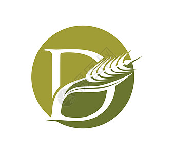 Wheat 谷物和初始 Logo 字母 D商业小麦字体植物叶子农民收成设计农业奢华图片