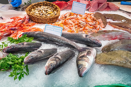冰上鱼和海鲜蛤蜊海洋动物渔业乌贼市场盐水小龙虾鱿鱼食物图片