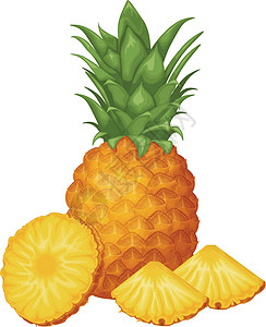菠萝 菠萝切成片的图像 成熟的菠萝片断 甜热带水果 矢量图营养饮食异国甜点树叶叶子插图果汁食物情调图片