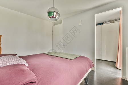 宽敞明亮的卧室 用一盏最微小的时装灯奢华全景枕头阁楼住宅窗帘地面毯子财产地毯图片