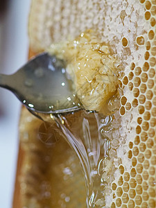 养蜂人在家里从蜜蜂蜂蜂巢中提取有机蜂蜜并滴水乡村收成蜂蜡甜食生食殖民地加工食物美食细胞图片