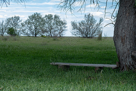 在树冠的阴影下 孤单地在田里坐着长椅 安静的地方 面对面图片