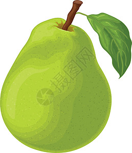梨 一个成熟的绿色梨的图像 一块切好的梨 花园里的甜水果 素食维生素产品 矢量图饮食农业甜点卡通片树叶主义者营养叶子艺术插图图片